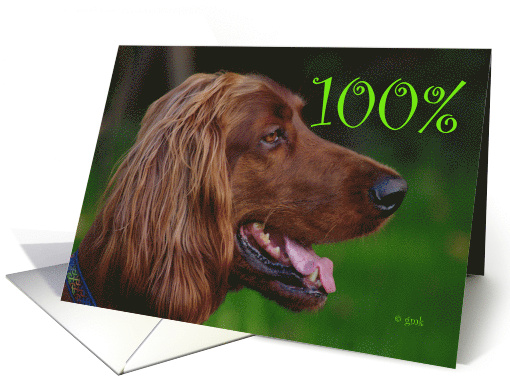 St. Patrick's Day Irish Setter card (471213)