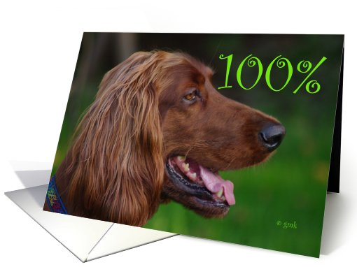 Happy St. Patrick's Day:  Irish Setter card (471213)