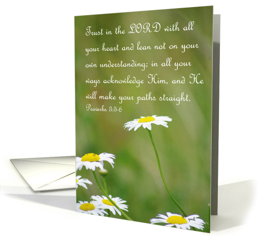 Daisies Against a Bokeh Background card (471283)