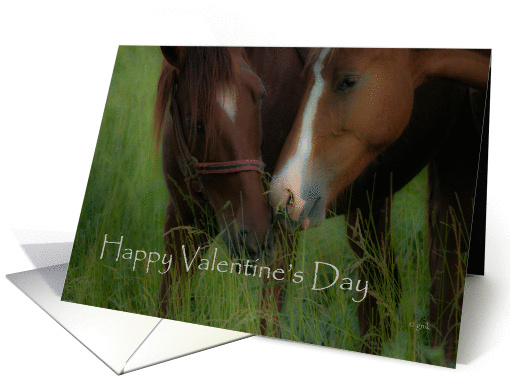 Happy Valentine's Day:  nuzzling horses card (761582)