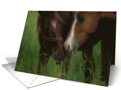 blank note card nuzzling horses card (761584)