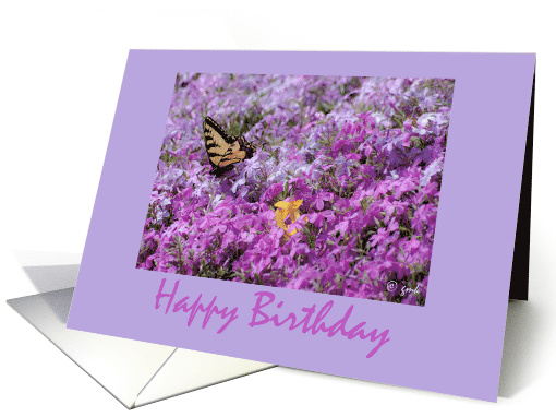Birthday Butterfly Phlox Springtime card (916057)