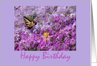 Happy Birthday: spring butterfly and phlox card