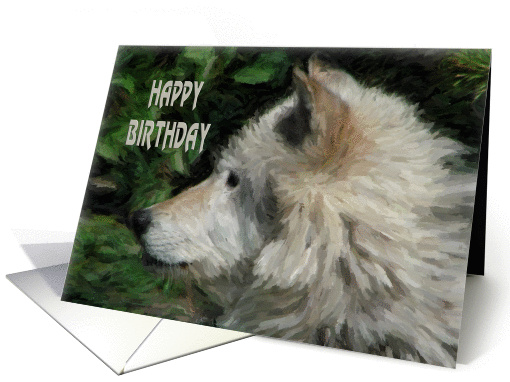Wolf Birthday card (131769)