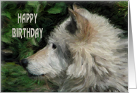 Wolf Birthday card