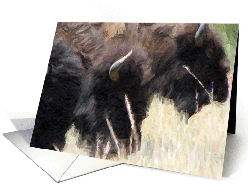 Buffalo Trio Birthday card (131779)