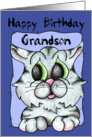 Happy Birthday Kitty-Grandson card