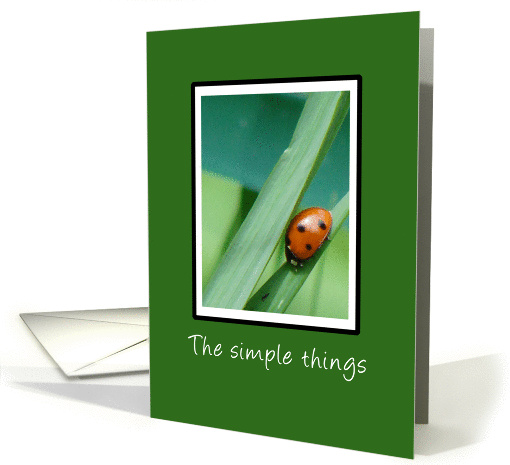 Lady Bug card (140538)
