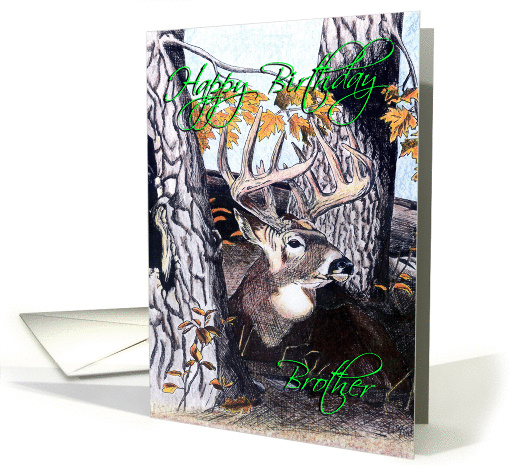 Deer Drawing card (141531)