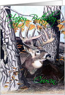 Deer Drawing card