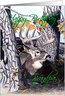 Deer Drawing card