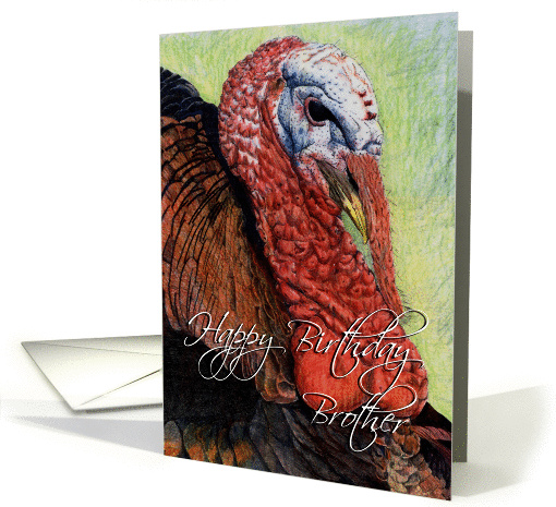 Turkey Drawing card (141547)