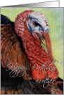 Turkey Drawing card