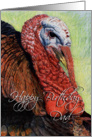 Turkey Drawing card