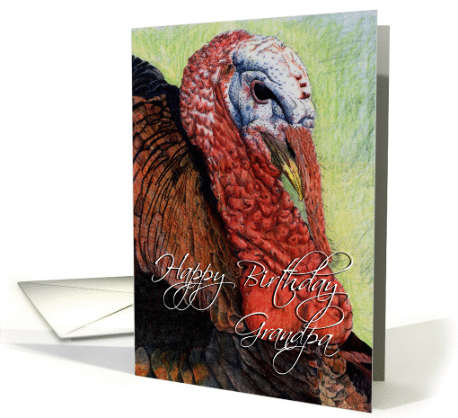 Turkey Drawing card (141567)