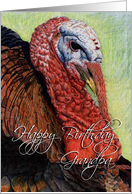 Turkey Drawing card