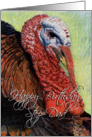 Turkey Drawing card