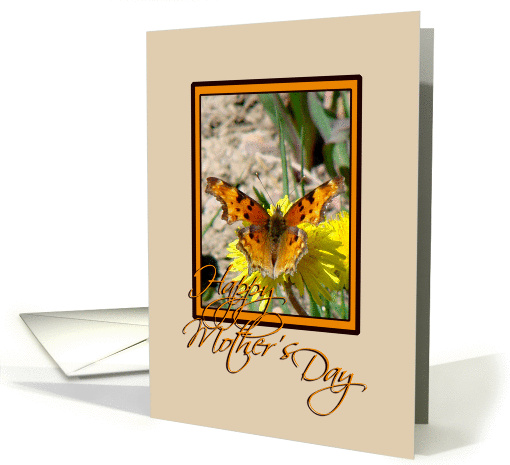 Butterfly on Dandelion card (142568)