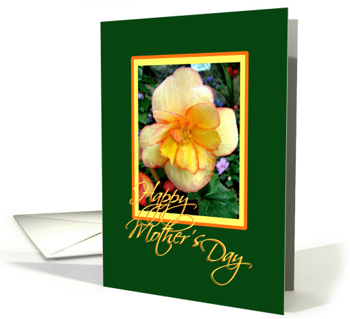 Yellow begonia card (142594)