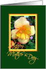 Yellow begonia card