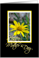 Yellow Daisy card
