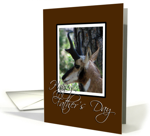 Antelope card (144305)