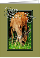 Deer 1 card