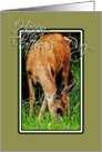 Deer 1 card