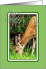 Deer 2 card