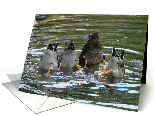 Bottom's Up! card (152359)