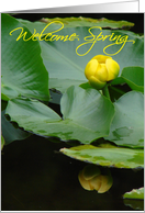 Welcome Spring card