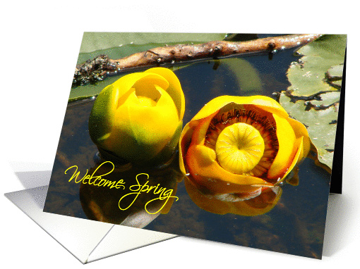 Welcome Spring card (152842)