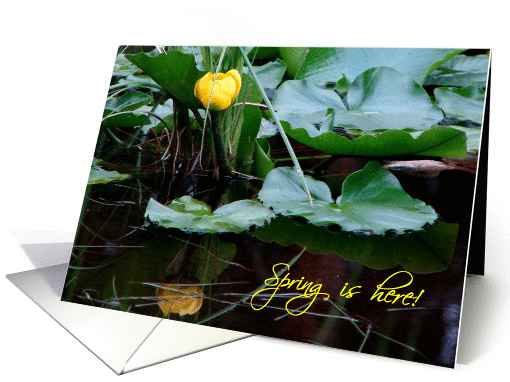 Spring is here! card (152846)