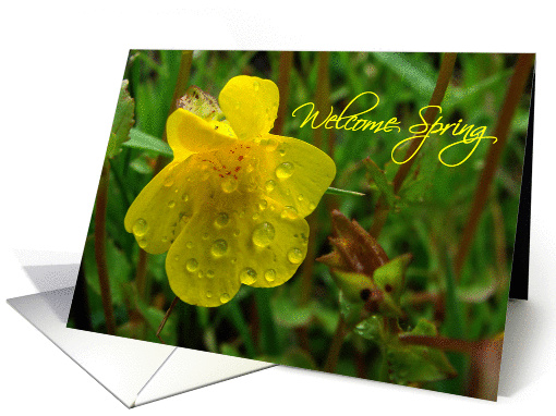 Welcome Spring card (152904)