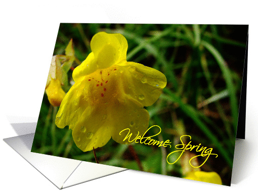 Welcome Spring card (152906)