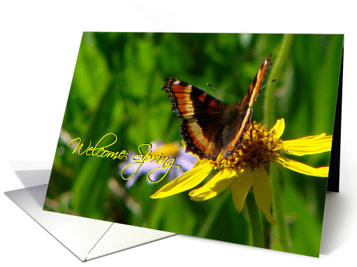 Welcome Spring card (152908)