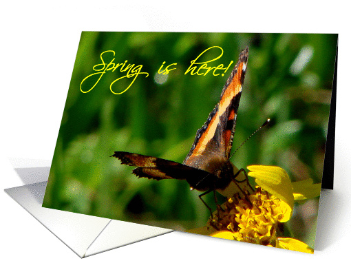 Spring is here card (152912)