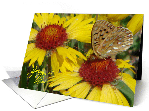 Spring is here card (152942)
