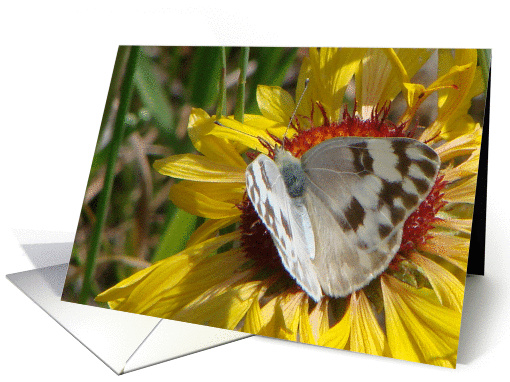 Wings card (153640)