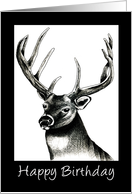 Buck Deer card