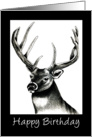 Buck Deer card