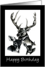 Deer Family card