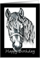 Horse 2 card