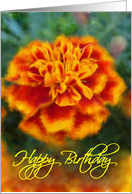 Marigold Birthday card