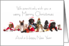 A Pawsitively Merry Christmas card