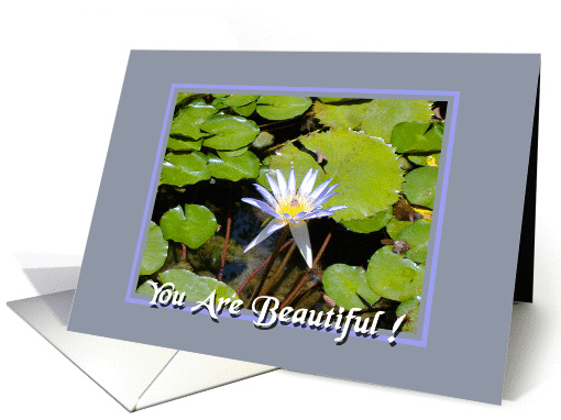 You Are Beautiful card (372216)