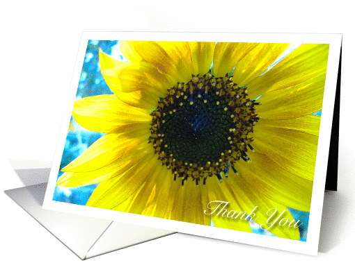 Thank You card (372397)