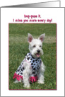 Dog-gone it, I Miss You Card