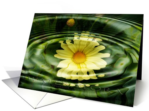 water flora card (133998)