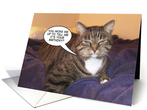 Woke me for your birthday? card (582426)